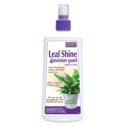 Bonide Leaf Shine 12oz