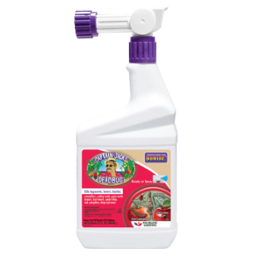 Bonide Dead Bug Brew Ready to Spray 32 Oz