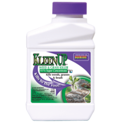 Bonide KleenUp Weed and Grass Killer Concentrate 16oz