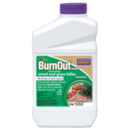 Bonide Burnout II 32oz Concentrate